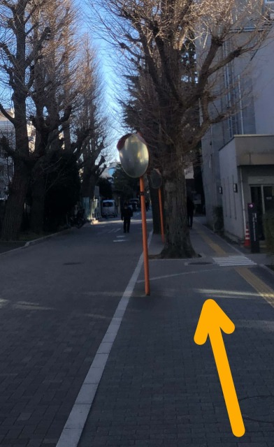 写真2