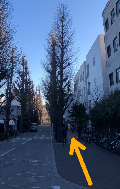 写真4